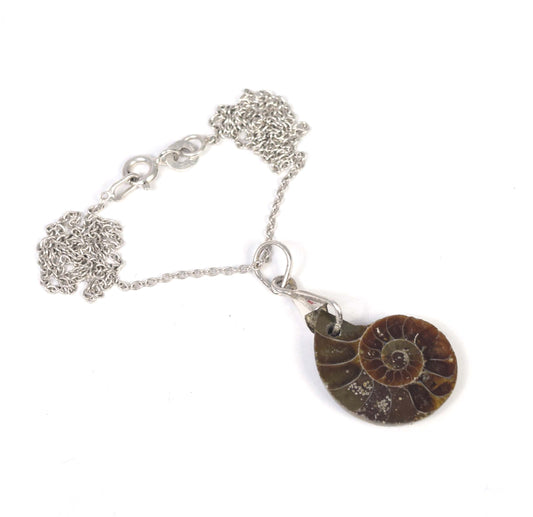 925 Solid Sterling Silver Ammonite Fossil Chain Pendant