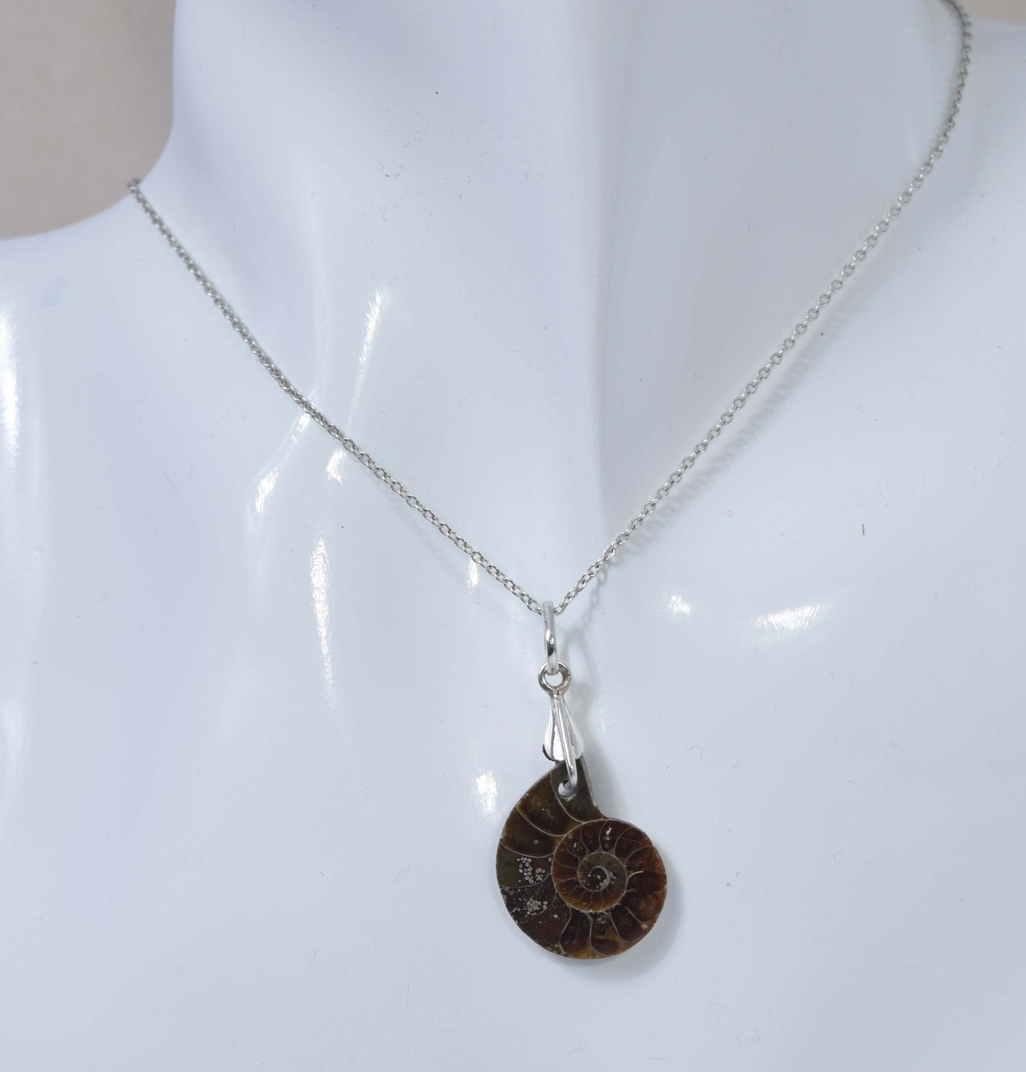 925 Solid Sterling Silver Ammonite Fossil Chain Pendant