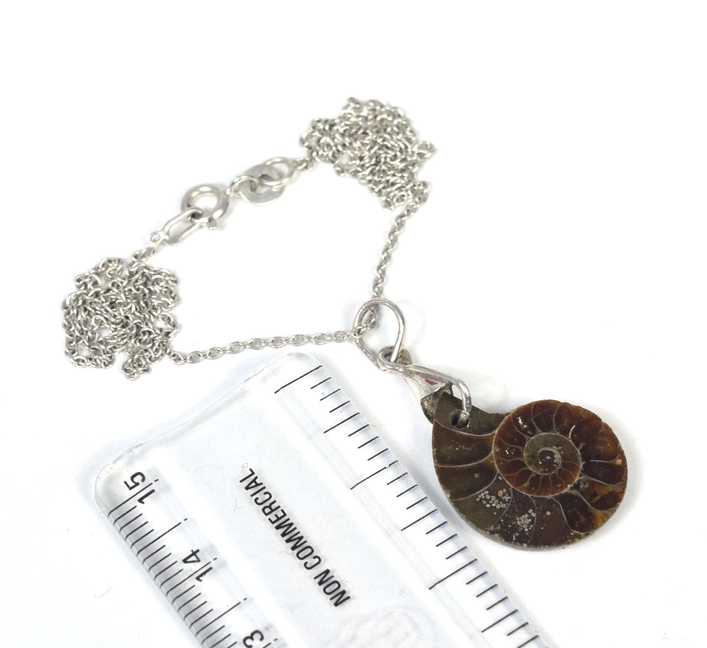 925 Solid Sterling Silver Ammonite Fossil Chain Pendant