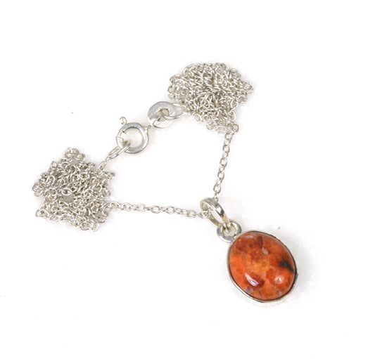 925 Solid Sterling Silver Oyster Turquoise Chain Pendant-18.6 Inch